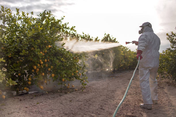 Best Commercial Pest Control  in Littlerock, CA